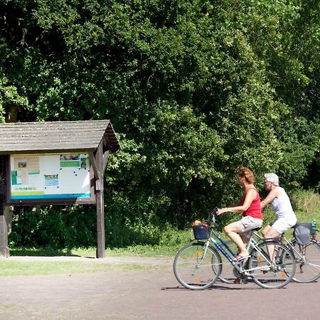 Appartementen - Bungalowpark Mooyeveld - Uniek Gelegen In De Duinen! Egmond-Binnen Dış mekan fotoğraf