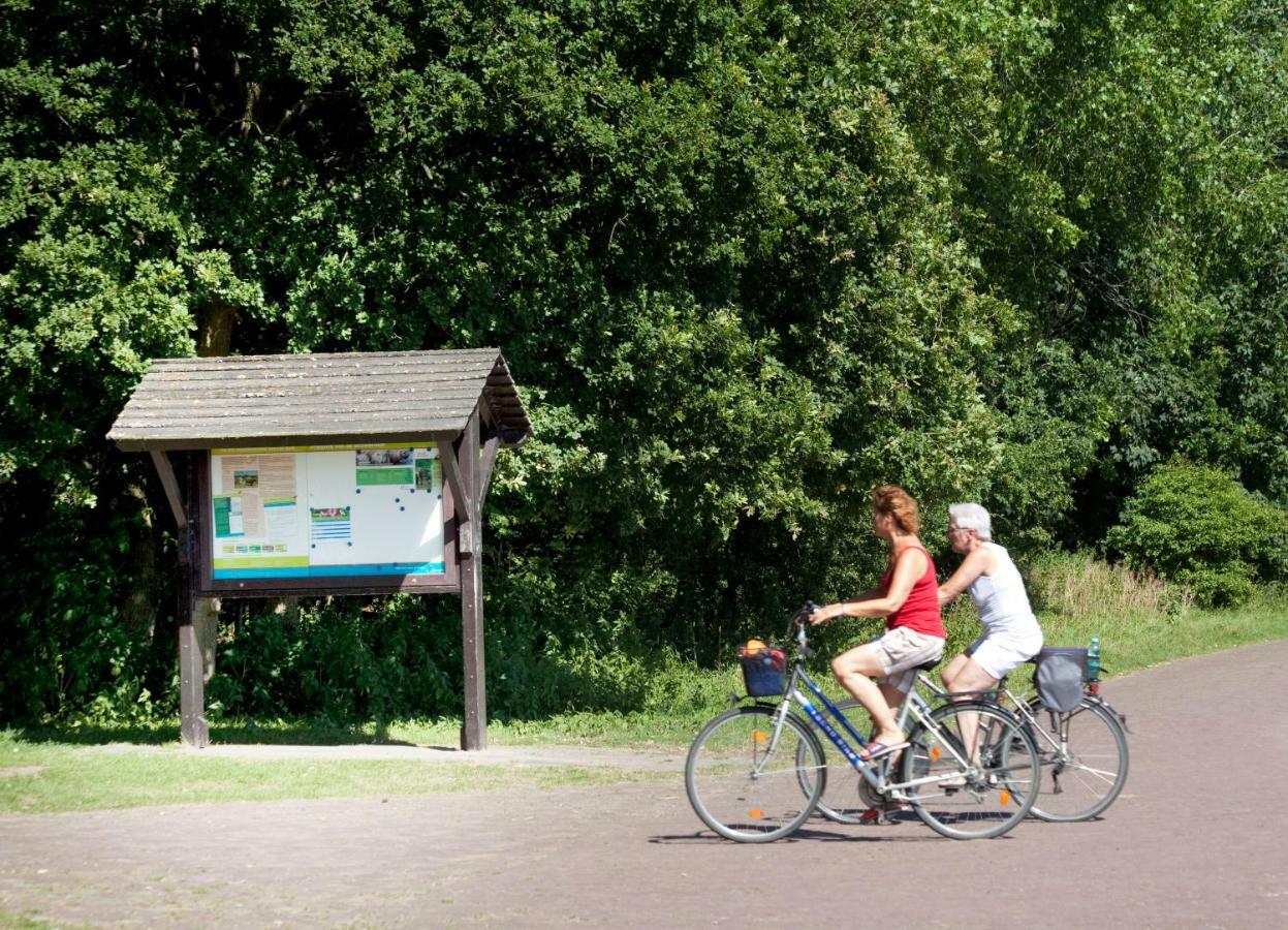Appartementen - Bungalowpark Mooyeveld - Uniek Gelegen In De Duinen! Egmond-Binnen Dış mekan fotoğraf