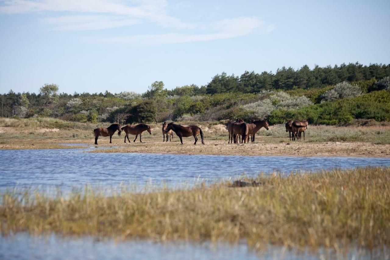 Appartementen - Bungalowpark Mooyeveld - Uniek Gelegen In De Duinen! Egmond-Binnen Dış mekan fotoğraf